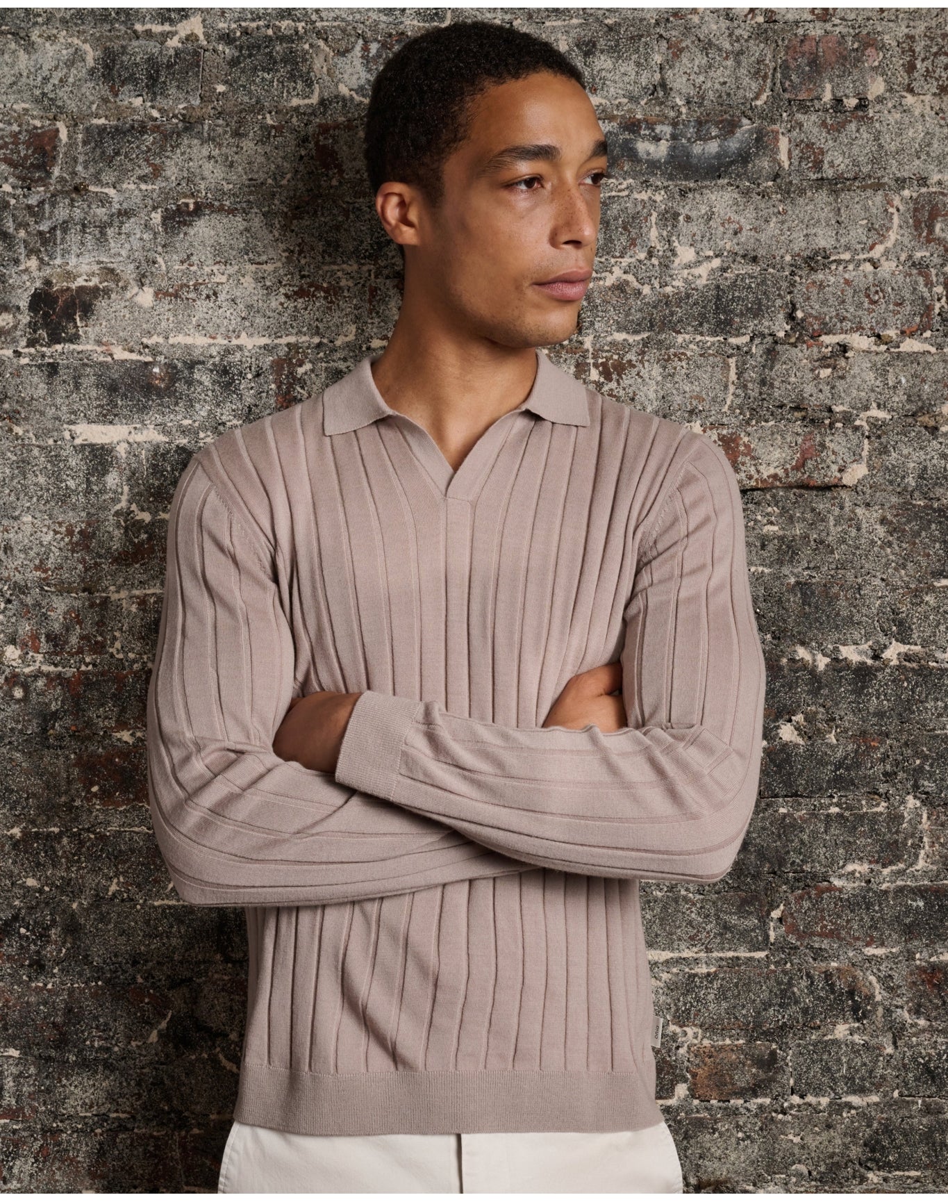 Men | Extra Fine Merino Wool Johnny Collar Polo | Oxford Tan - Image 2