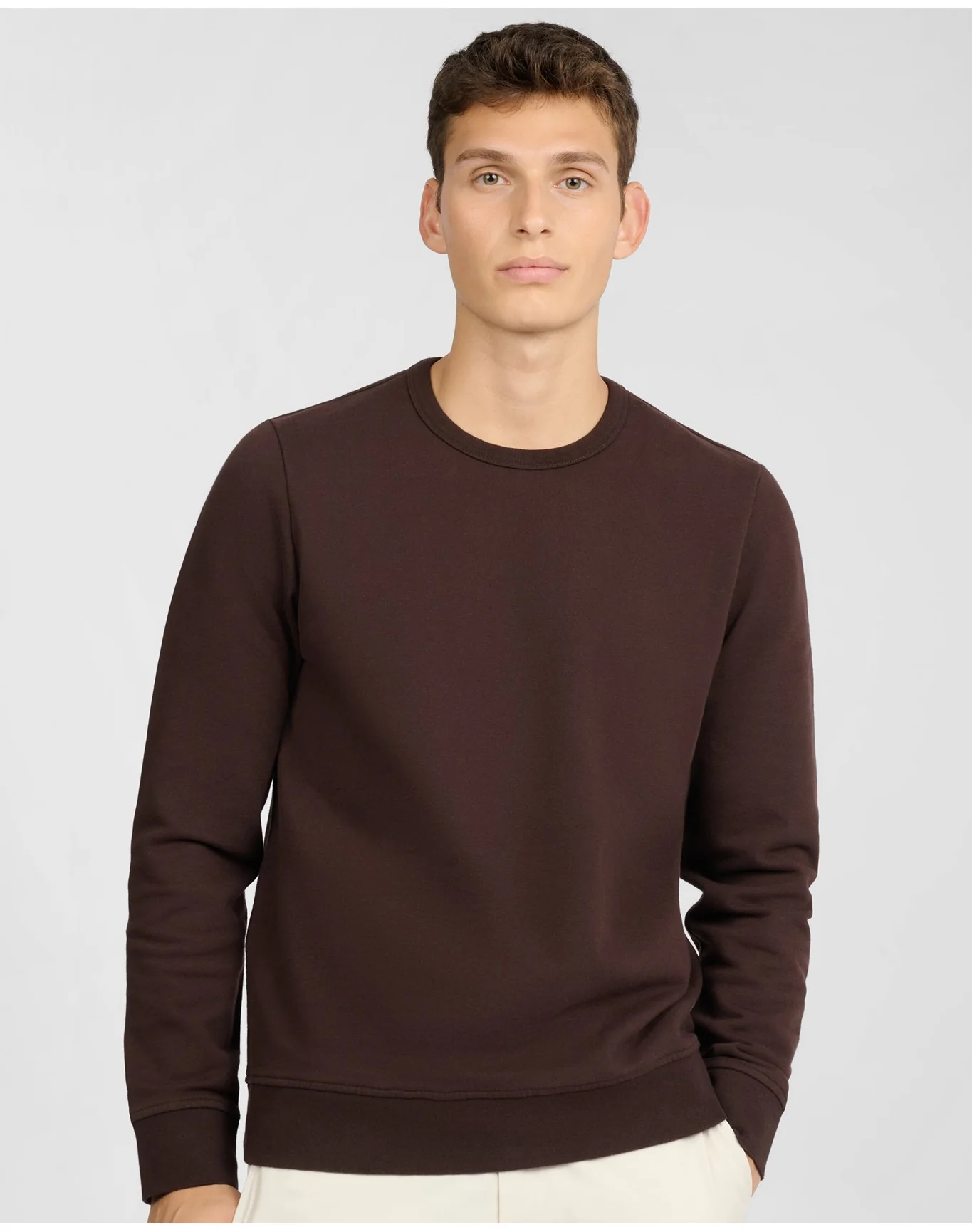 Men | Terry Crewneck Sweater | Dark Java - Image 3