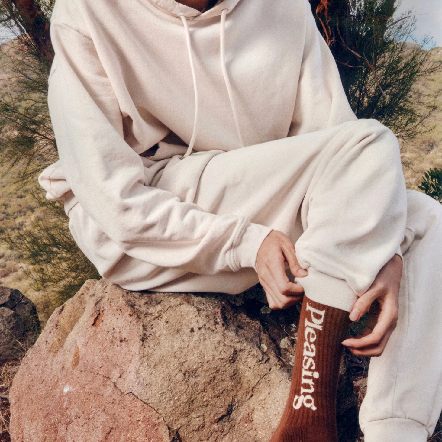 The Pleasing Sweatpant | Brown - Image 3